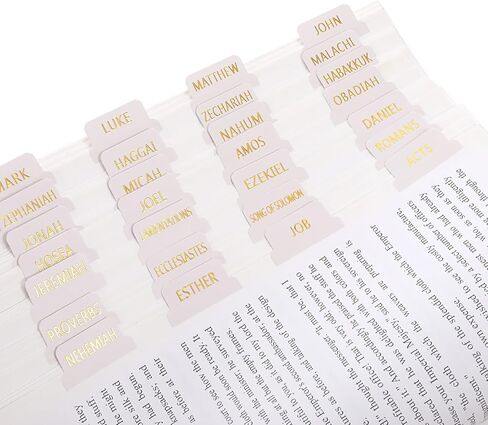 75 Pcs Bible Book Index Tabs Laminated Bible Tabs Gold Foil Lettering Bible Study Journaling Labels Supplies Print Stickers for Women Men Easy Navigation Easy to Read Quick Reference in Saudi Arabia