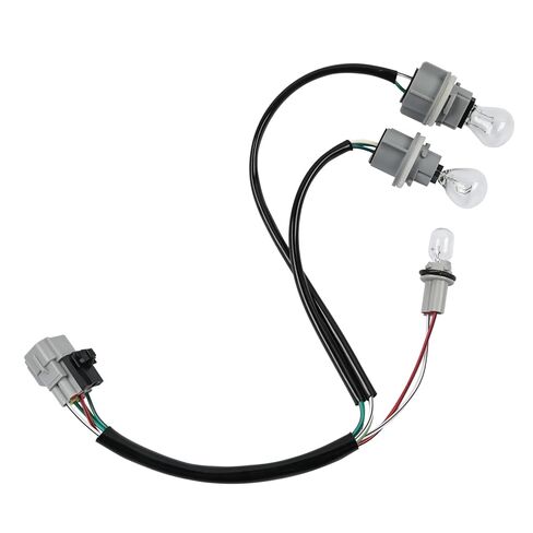 81555-0C010 Tail Light Bulb Socket Harness Wire Assembly Fit for Toyota Tundra 2000 2001 2002 2003 2004, Tail Lamp Socket & Wiring Sub Rear Brake Combination with Bulbs Replace 815550C010 in Saudi Arabia
