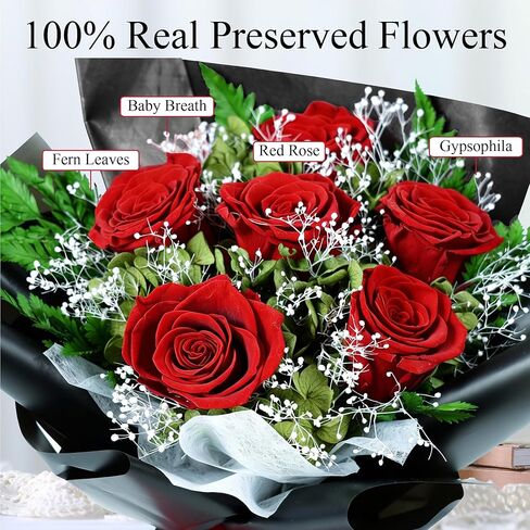 TUCCI FLORAL-Preserved Real Red Roses Bouquet, Forever Flowers with Baby’s Breath, Long Lasting Luxury Gift for Birthday, Anniversary, Mother’s Day Girlfriend Wife Grandma Her Women, Delivery Tomorrow in Saudi Arabia