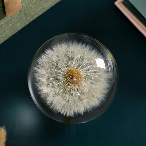 كرة حلم الهندباء ذات ثقالة الورق. كرة التمنيات الكريستالية. ثقالة ورق فريدة مصنوعة من الهندباء. هدية للنساء والرجال (الأم، الأب، المعلم)، عيد الميلاد، الزفاف، عيد الحب. (9 سم) in Kuwait