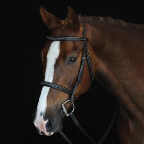 Fancy Stitch Black Bridle with Removeable Flash