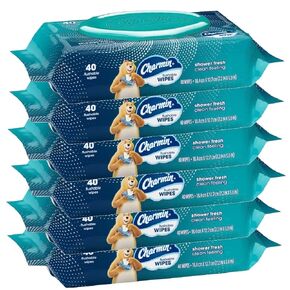 Charmin Freshmates Flushable Wipes with Refillable Tub (Pack of 6)