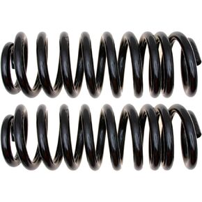 MOOG CC81372 Coil Spring Set for Ford E-150