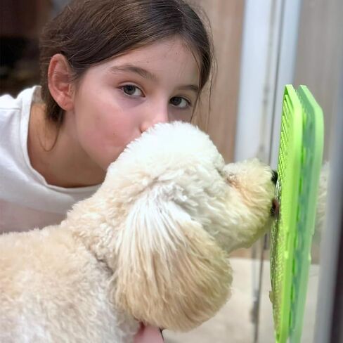 Sensia.Lick Mat، 3 قطع من حصيرة لعق الكلاب ذات التغذية البطيئة مع كوب شفط (سجادة طعام للكلاب باللون الأزرق + حصيرة لعق القطط الخضراء + ملعقة برتقالية) حصيرة لعق للكلاب الكبيرة / طعام القطط (مضاد للانزلاق، سيليكون صالح للطعام) in Kuwait