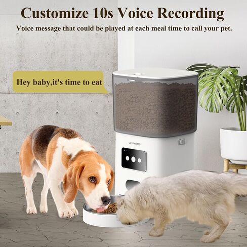 JFISHION Automatic Cat Feeder, Dual Power Supply, 6L Large Capacity, Dual Notification System, Custom Voice Recorder, Secure Lid Lock, Suitable for Dry Food, Stainless Steel in Saudi Arabia