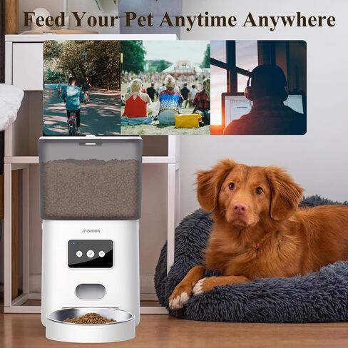 JFISHION Automatic Cat Feeder, Dual Power Supply, 6L Large Capacity, Dual Notification System, Custom Voice Recorder, Secure Lid Lock, Suitable for Dry Food, Stainless Steel in Saudi Arabia