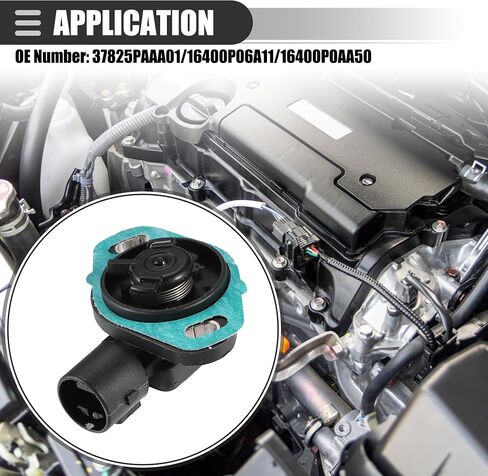 Motoforti Throttle Position Sensor, for Honda Accord 1994-1995, Plastic, No.37825PAAA01/16400P06A11/16400P0AA50, Black, 2pcs in Saudi Arabia