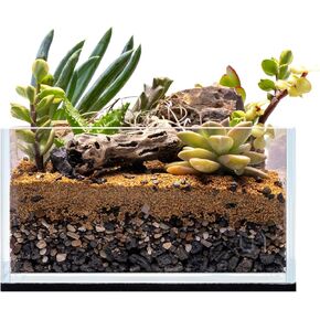 Ultum Nature Systems Ultra Clear Rimless Aquarium - Low Iron Glass Fish Tank with 45° Mitered Edges, 5mm-12mm Thick, Leveling Mat Included (5S, Shallow, 2 Gallon) in Kuwait