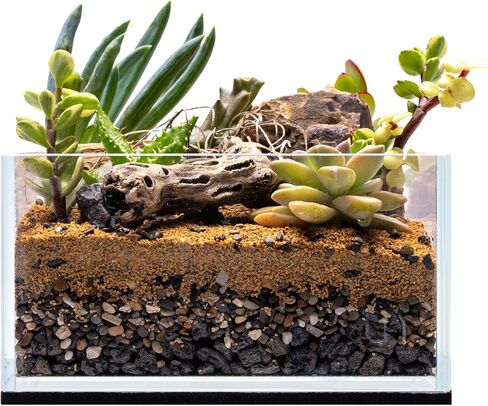 حوض أسماك Ultum Nature Systems فائق الوضوح بدون إطار - حوض أسماك زجاجي منخفض الحديد بحواف متدرجة 45 درجة، بسمك 5 مم - 12 مم، يتضمن حصيرة تسوية (5S، ضحلة، 2 جالون) in Kuwait