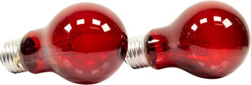 لمبة زو ميد نايت لايت للزواحف، 60 واط، أحمر in Kuwait