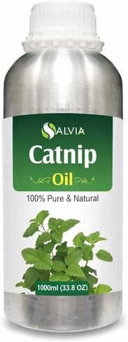 Bulk Bhringraj Oil (Eclipta alba) Carrier Oil 100% Pure & Natural Undiluted Unrefined Uncut Organic Standard Oil Cold Pressed Therapeutic Grade Aromatherapy Bulk Oil 1000ml/33.8fl oz in Saudi Arabia