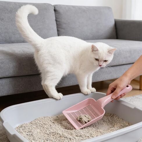 Plastic Cat Litter Shovel, Lightweight Cat Sand Scoop Sifter Fine Mesh Pet Poo Litter Cleaner Scoop Shovel Deep Shovel Anti-rust Pet Litter Cleaner Scooper Sand Substrate Scoop Shovel in Kuwait