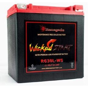 UTV Battery; RG30L-WS 600+ CCA's; Can-Am (2016, 2017, 2018, 2019) Defender Max HD10 / Defender XT CAB/Defender Xt HD10; Part# 66010-97A, 66010-97B, 66010-97C, BTX30L, B30L-B, CB30L-B in Saudi Arabia
