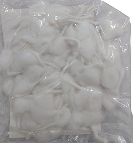 فتائل قطنية بيضاء مصنوعة يدويًا/باتي لمصباح الزيت فتائل قطن بوجا التقليدية ديا (عبوة من 75 قطعة) (فتائل مستديرة) in Kuwait