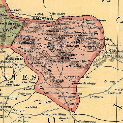 خرائط Antiguos Estado Libre y Soberano de Zacatecas من Atlas Mexicano حوالي عام 1884 | ملصق مطبوع فني لتزيين الحائط العتيق | 24 × 24 بوصة (610 مم × 610 مم) in Kuwait