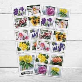 USPS Snowy Beauty (5 Booklets of 20) 100 Postage Forever Stamps, Self-Adhesive, Garden, Wedding, Love, Celebration, Holiday, Winter, Flower, 2022 Scott #5727-5736 in Saudi Arabia