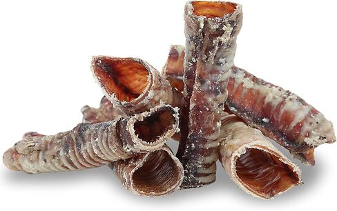 Pet Craft Supply All Natural Healthy Beef Rib Bones Dog Chews Treats for Aggressive Chewers Long Lasting Rawhide Free Made in USA Premium Grade Slow Roasted for Puppies or Small Medium Dogs 10 Pack in Kuwait