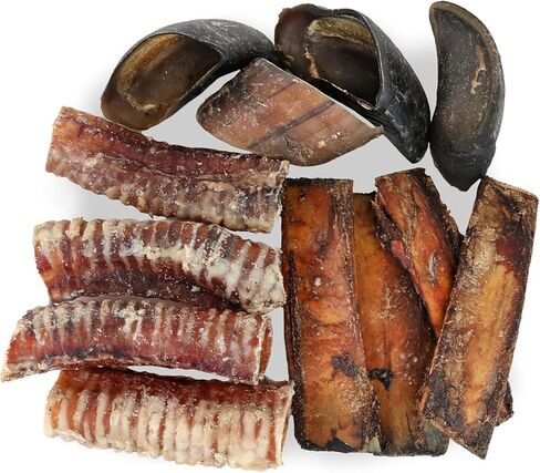 Pet Craft Supply All Natural Healthy Beef Rib Bones Dog Chews Treats for Aggressive Chewers Long Lasting Rawhide Free, Premium Grade Slow Roasted for Puppies or Small Medium Dogs 10 Count (Pack of 1) in Kuwait