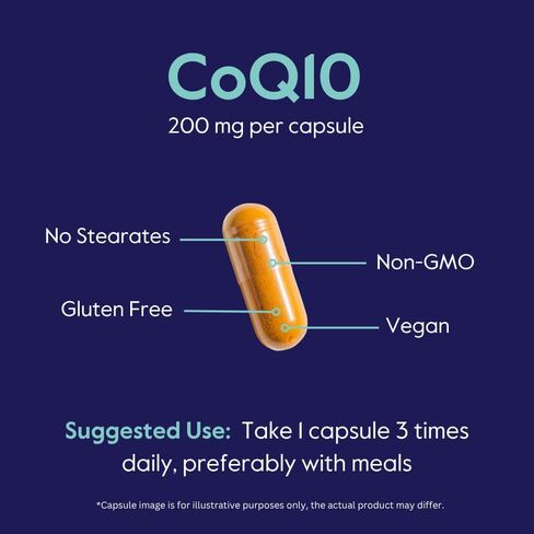 بيستفيت الإنزيم المساعد CoQ10 400 ملغ (120 كبسولة نباتية) مخمر بشكل طبيعي - بدون ستيرات - نباتي - خالي من الغلوتين - غير معدّل وراثيًا in Saudi Arabia