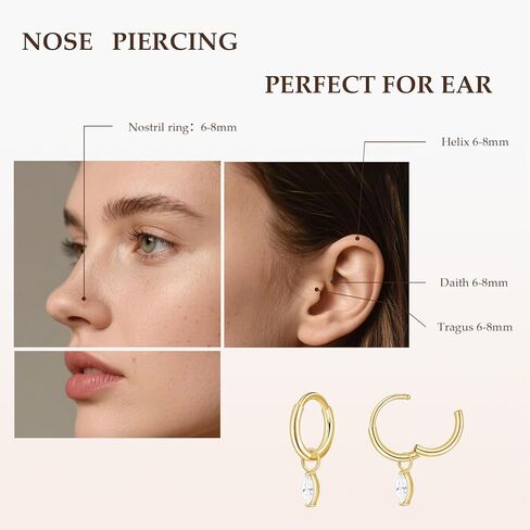 Limerencia G23 التيتانيوم الفرس الأطواق روك ثقب المجوهرات للنساء، هيبوالرجينيك 6mm 8mm 20G تتدلى Huggie هوب الغضروف محارة الحلزون هوب الأقراط in Kuwait