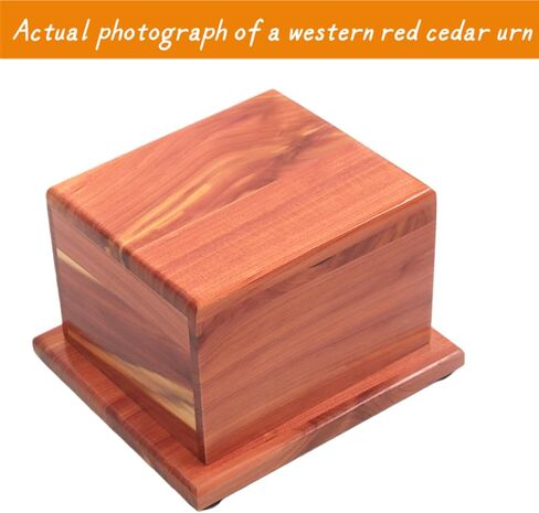 Small Cremation Urn for Human Ashes- Handcrafted Cedar Wood Keepsake Urn Box for Ashes, Memorial Urn for Men & Women, Holds 38 Cubic Inches in Saudi Arabia