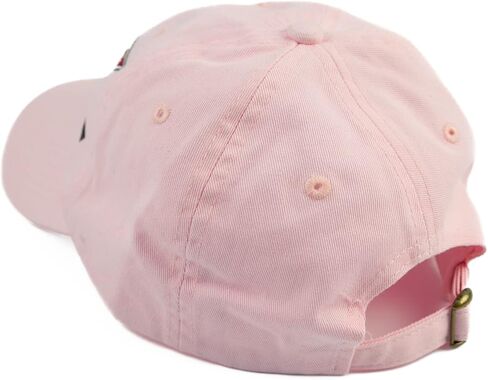 C6 Corvette Hat Pink Cap in Kuwait