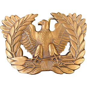 مشبك حزام من البرونز الصلب لضابط صف بالجيش الأمريكي، شارة فرع النسر الصاعد in Kuwait