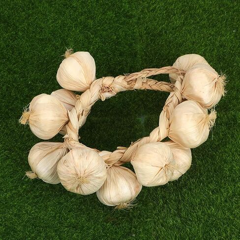 VICASKY 3pcs Strings Artificial Garlic Farmhouse Decorations Vegetables Decor Home Decorative Garlic Trenzas De Ajos Kids Lifelike Garlic Ornament Onions Fake Garlic Braid White DEA Foam in Saudi Arabia