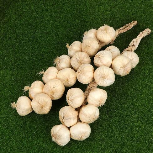 VICASKY 3pcs Strings Artificial Garlic Farmhouse Decorations Vegetables Decor Home Decorative Garlic Trenzas De Ajos Kids Lifelike Garlic Ornament Onions Fake Garlic Braid White DEA Foam in Saudi Arabia