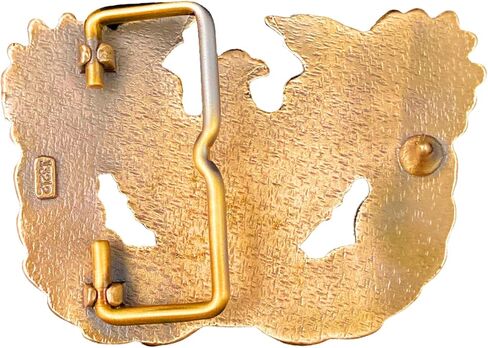 مشبك حزام من البرونز الصلب لضابط صف بالجيش الأمريكي، شارة فرع النسر الصاعد in Kuwait