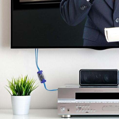 فلتر ضوضاء السيارة ذو 4 قنوات من Angoily، عازل حلقة أرضية، مانع ضوضاء RCA، طنين صوتي 50 وات لنظام الاستريو، فلتر أنين المحرك مع مقابس مطلية بالذهب in Saudi Arabia