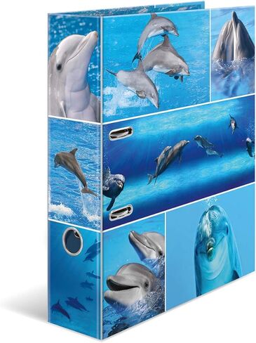 Herma Folder A4 Cat Set, 10 Pieces, 7 cm Wide, Children's Ring Binder with Animal Motif, Colourful Lever Arch File with Inner Print for Boys and Girls in Saudi Arabia