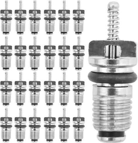 25 Pcs 15-75234 Air Conditioner Valve Cores, Replacement for 134A and R12 Systems, Replaces 2674 59347 409914 MT0059 in Saudi Arabia