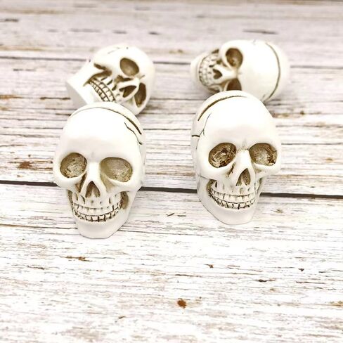 10 Pcs Table Card Holders - Place, Photo, Party Favors & Wedding Decorations (White Skull) in Saudi Arabia