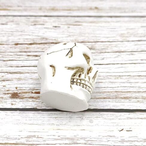 10 Pcs Table Card Holders - Place, Photo, Party Favors & Wedding Decorations (White Skull) in Saudi Arabia