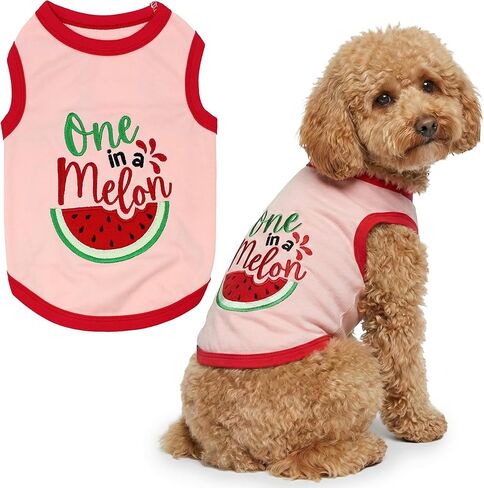 باريزيان بيت لايفز ايه بيتش! تي شيرت للكلاب، مقاس 3XL in Kuwait