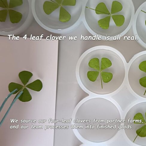 St. Patrick's Day Real Four Leaf Clover, Good Luck Charm Pocket Token, Irish Gifts for Friends, Family, 1.96" (Large Size - Real Four Leaf Clover Pocket Token) in Saudi Arabia