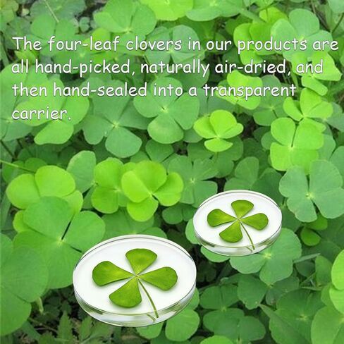St. Patrick's Day Real Four Leaf Clover, Good Luck Charm Pocket Token, Irish Gifts for Friends, Family, 1.96" (Large Size - Real Four Leaf Clover Pocket Token) in Saudi Arabia