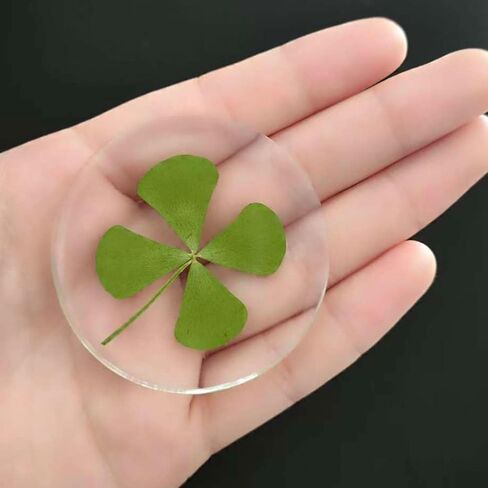St. Patrick's Day Real Four Leaf Clover, Good Luck Charm Pocket Token, Irish Gifts for Friends, Family, 1.96" (Large Size - Real Four Leaf Clover Pocket Token) in Saudi Arabia