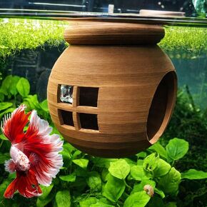 منزل بيتا العائم المريح، مخبأ بيتا العائم الطبيعي، أرجوحة حوض السمك، للاسترخاء وتخفيف التوتر، متضمن كوب شفط، 2.9 بوصة عرض × 2.6 بوصة ارتفاع in Kuwait