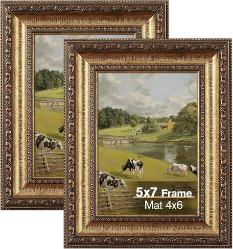 16x20 Gold Picture Frame, 2 Pack Ornate Vintage Picture Frames for Wall or Tabletop Display, 16x20 Photo Frame Gold with Plexialass, Display Poster 11x14 with Mat or 16x 20 without Mat for Antique Déco in Saudi Arabia