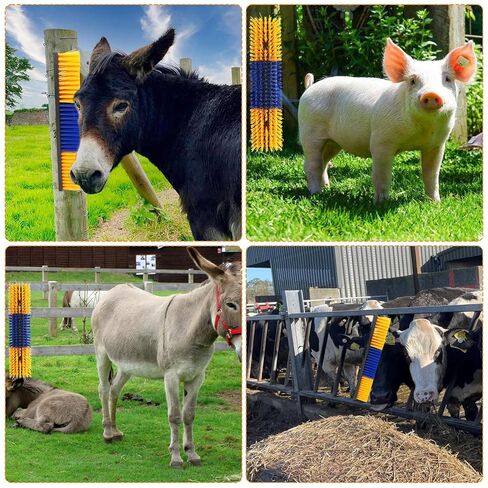 فرشاة خدش الماشية مع حامل حديد زنبركي، فرشاة خدش ظهر الحيوان للبقرة والماشية والأغنام والخيول والخنازير وأداة تدليك (أصفر) in Kuwait