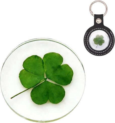 Real Shamrock Plant, Good Luck Charm Pocket Token - Keychain in Saudi Arabia