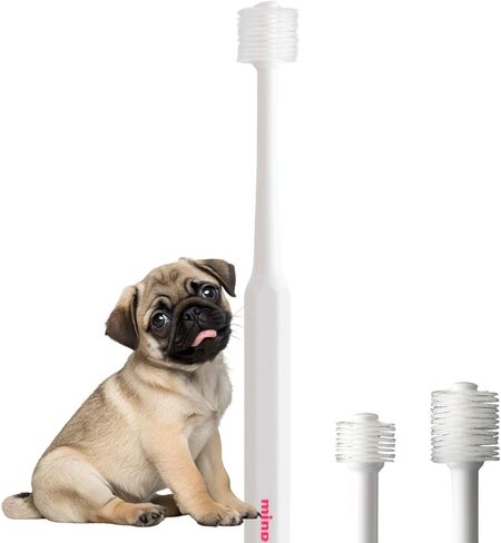 فرشاة أسنان مايند أب للكلاب، رأس أسطواني بشعيرات ناعمة للكلاب، فرشاة أسنان لطيفة للعناية بالأسنان لأسنان الكلاب الصغيرة، مصنوعة في اليابان، نوع عادي in Kuwait