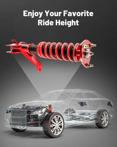 EVIL ENERGY Coilovers Compatible for Honda Civic DX/EX/GX/HX/LX/Si 2000-2006, Height Adjustable Coilovers Suspension Lowering Kit, Red ﻿ in Saudi Arabia