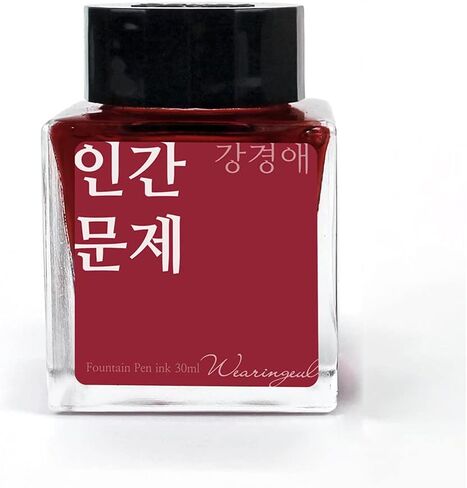 Human Issue_Korean Modern Female Writer Literary Fountain Pen Ink Bottled Ink_Dip Pen Writing Instrument Calligraphy Drawing in Saudi Arabia