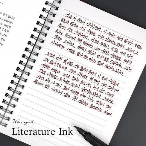 Human Issue_Korean Modern Female Writer Literary Fountain Pen Ink Bottled Ink_Dip Pen Writing Instrument Calligraphy Drawing in Saudi Arabia