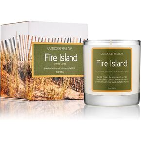 Bonaire Scented Candle | 40 Hour Long Burning Candles | Coconut and Apricot Natural Wax | Luxury Candle for Home (8oz)
