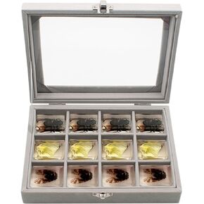 Insect in Resin Specimen Box with 12 Grids, Storage Box for Resin Insects, Insect In Resin Bug Preserved Specimen Collection with Clear Top Insect Specimen Box for Biology Science (Box Only)