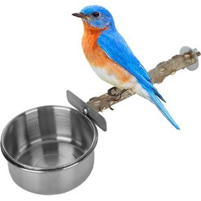 Wood Bird Perch with Bird Feeding Cups Stainless Steel Parrot Food Water Bowls Dish Feeder for Cockatiel Conure Budgies Parakeet [S] Feeding & Watering Supplies